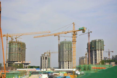 筑牢安居基石 共繪宜居畫卷——市住建局深入調研城市房屋建筑工程項目現場
