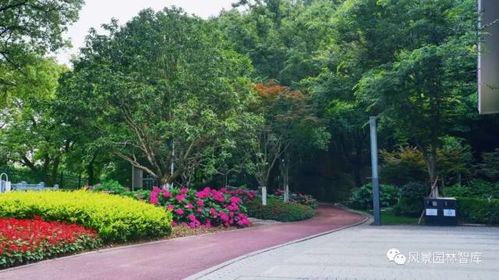 近20項科技成果護駕的世界級綠道——環東湖綠道一期景觀工程第二標段解析